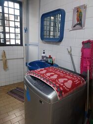 Blk 704 Chong Pang Green (Yishun), HDB 3 Rooms #583953351